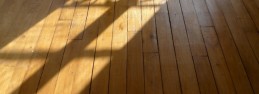 Sunlit Floors