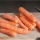 La Purée (Vegetable Soup)