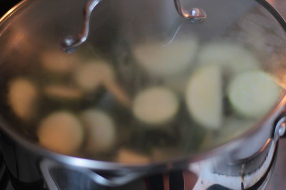 zucchini11