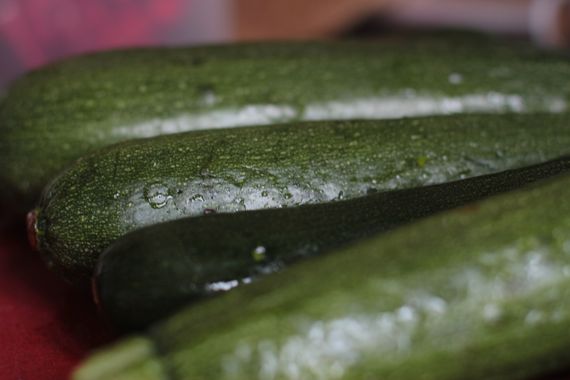 zucchini6