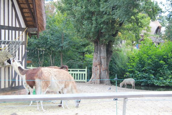 jardin12