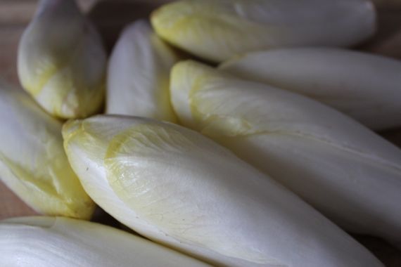 endives1