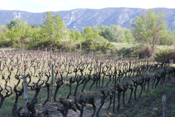 Provence3