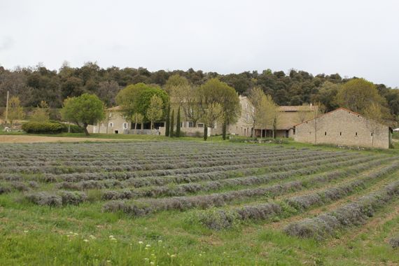 Provence7