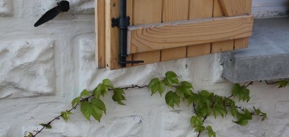 why garden18