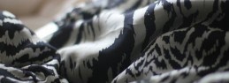 zebra1 zebra1