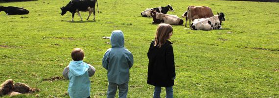 la ferme1
