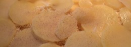 scalloped12