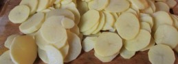 scalloped2