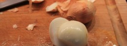 scalloped4