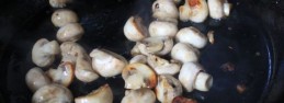 boeuf26