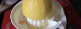 cream of mushroom11