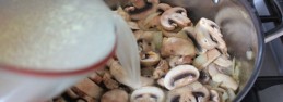 cream of mushroom5