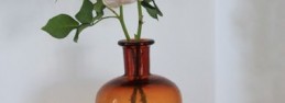 roses1