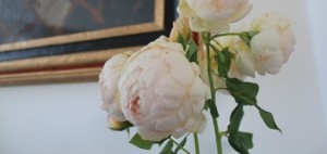roses3