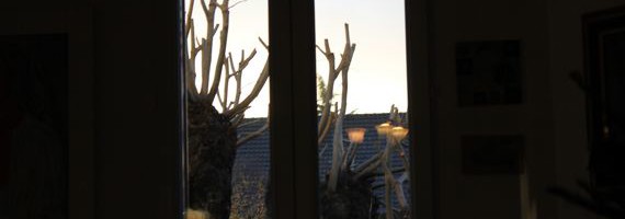 bereft3